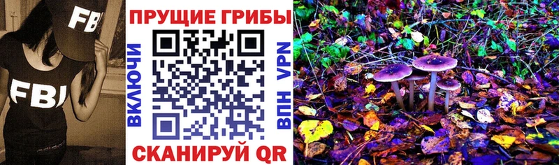 Купить где  Серафимович  Псилоцибиновые грибы MAGIC MUSHROOMS 